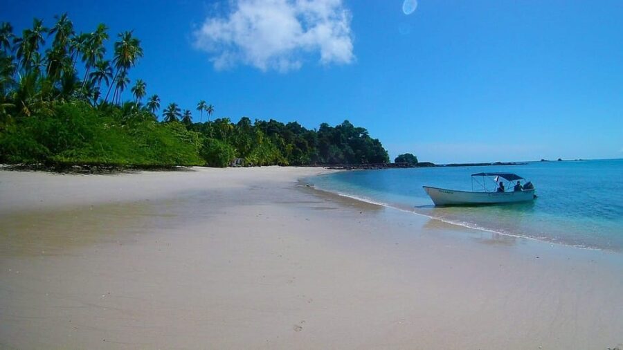 3 Best Lunch Experiences In Saona Island Natural Pool