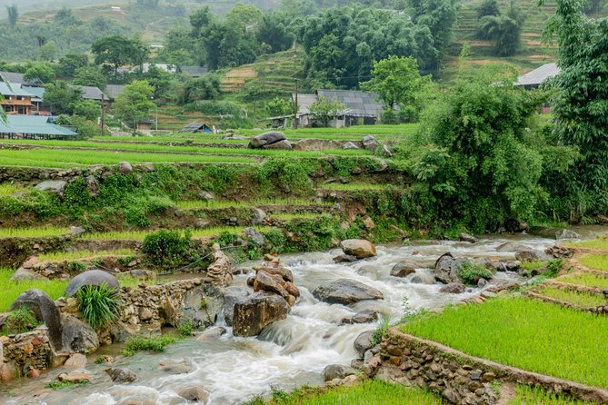 Sapa, Muong Hoa Valley - 1 Day Hiking & Cultural Experience - Itinerary Highlights