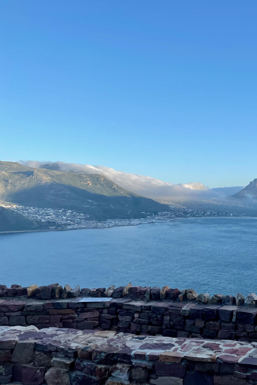 Scenic Full Cape Peninsula Tour