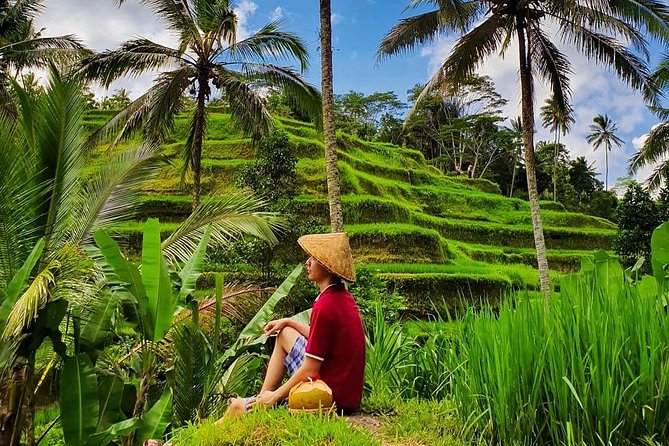 Scenic Ubud Tour and Tanah Lot Temple at Sunset-All Inclusive - Tour Overview and Highlights