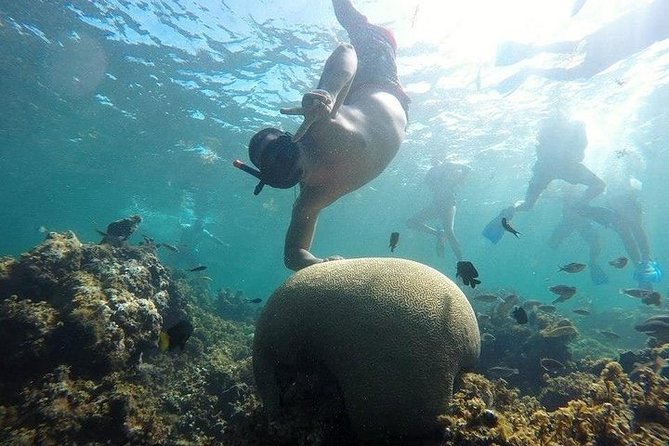 Scuba Diving Full Day At Catalina Island