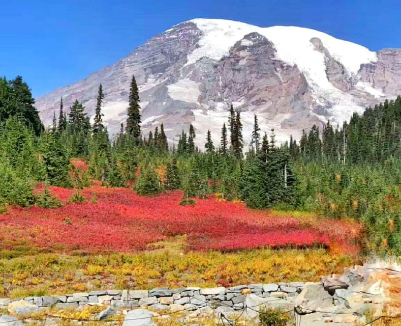 Seattle: Mount Rainier National Park 1-Day Tour