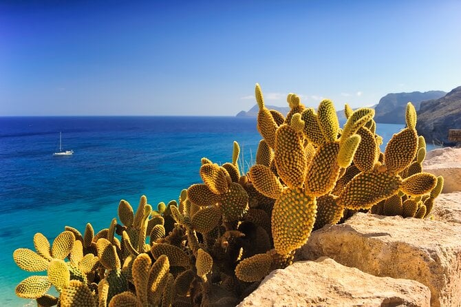 Secrets of Ibiza – Car Tour in 8 Hours