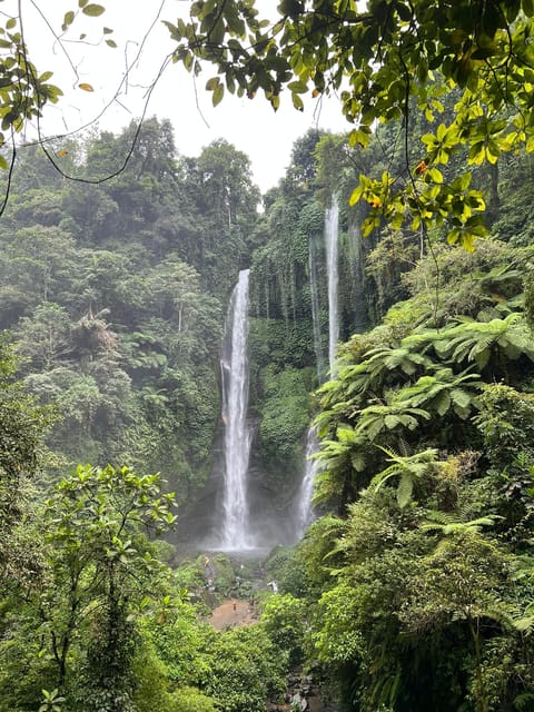 Sekumpul Waterfall Tour
