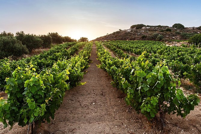 Semi Private Wine Tour of 2 Wineries With Transfer and Lunch - Tour Overview and Details