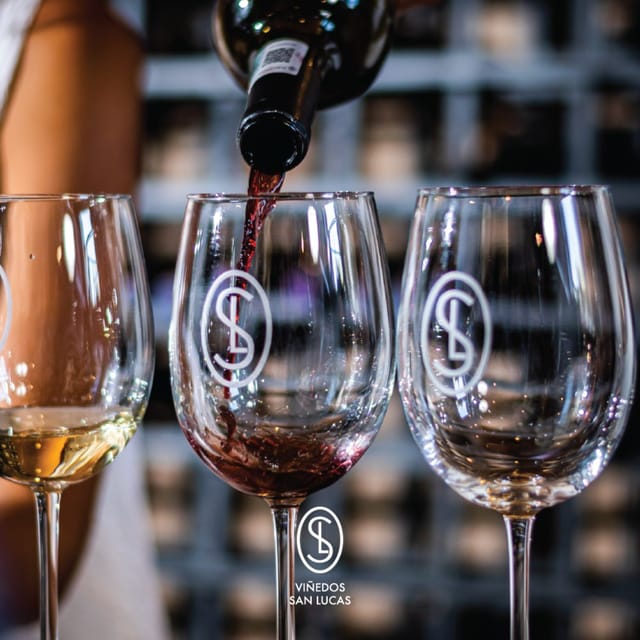 Sensory Wine Tasting Experience at Viñedos San Lucas