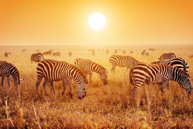 SERENGETI NATIONAL PARK Tour
