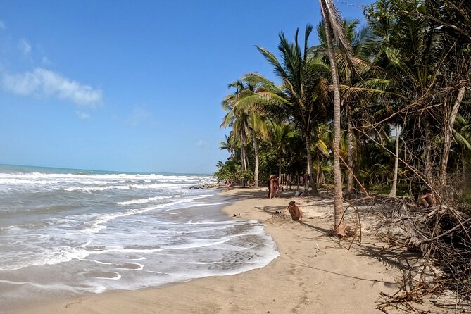 Seviaka Indigenous People and Tubing Tour in Palomino