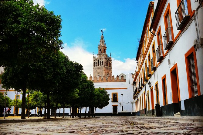 Seville Full Day Tour - Inclusions and Exclusions