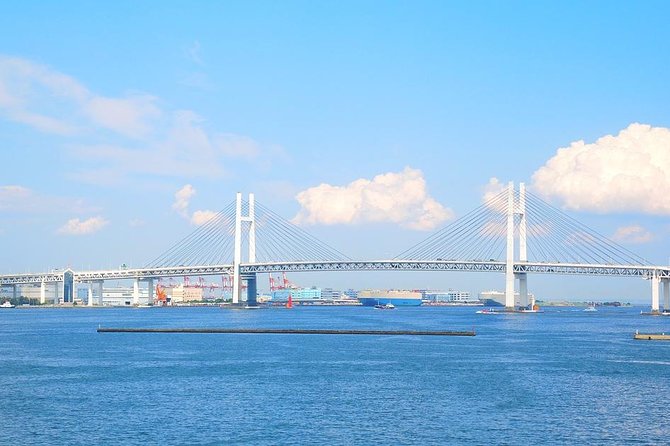 Shared Departure Transfer : Yokohama City to Narita International Airport - Pricing and Inclusions
