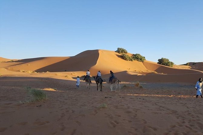 Shared Group Desert Tour Fez to Fez via Merzouga 2Days /1night