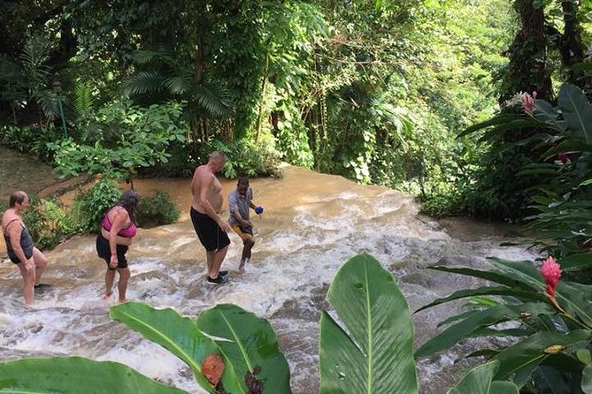 Shared Konoko Falls and Tropical Garden Tour From Ocho Rios