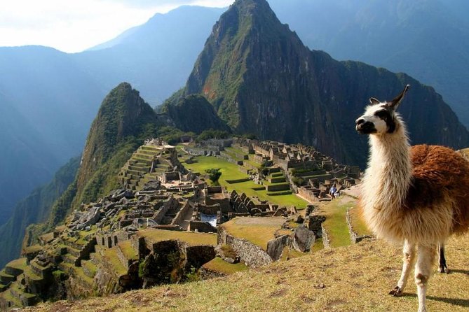Shared-MACHU PICCHU GUIDED TOUR