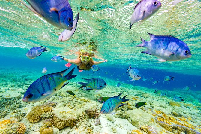 Sharks & Stingrays Encounter and Small Boat Ride From Punta Cana