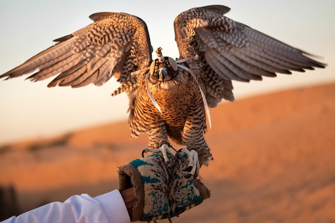 Sheikh Zayed Mosque and Falcon Hospital Tour in Abu Dhabi