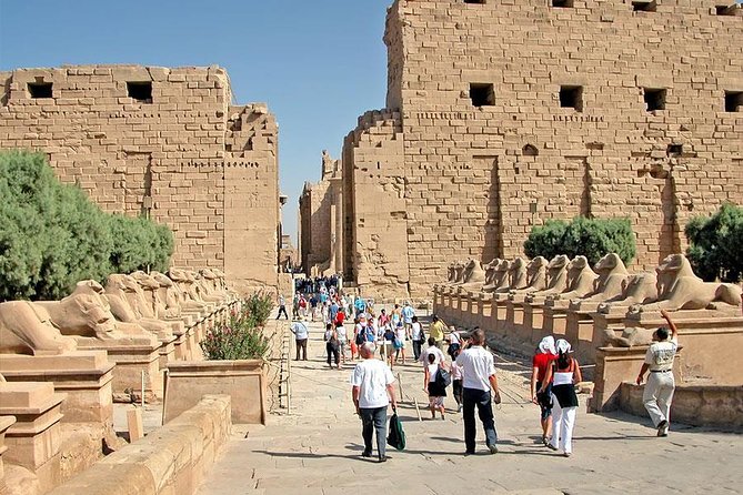 Shore Excursion: Day Tour to Luxor From Safaga Port