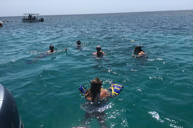 Shore Excursion: Roatan on the Wild-side and Snorkel