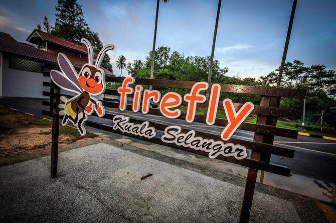 Sic – Kuala Selangor Firefly Tour