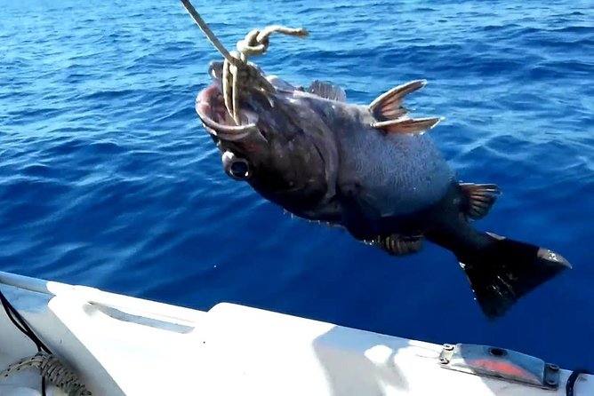 Side:Fishing Experience With Transfer - Transportation and Pick-Up Details