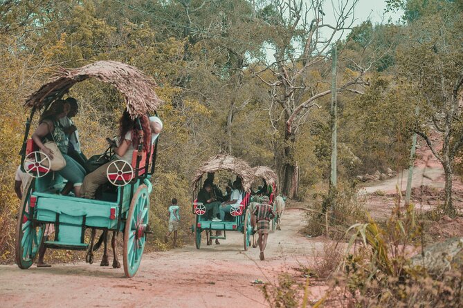 Sigiriya Rock and Village Tour From Colombo