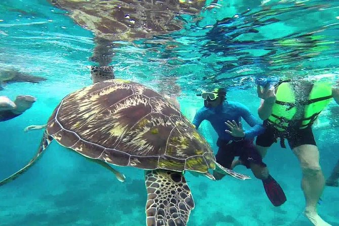 Similan Islands Full-Day Tour From Phuket With Lunch (Sha Plus)