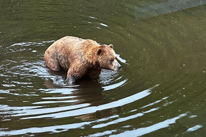 Sitka Private Adventure 4×4 Truck Tour & Lunch W/2 Admissions
