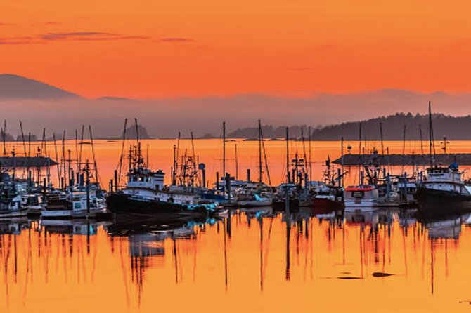 2 Best Guided Tours In Sitka