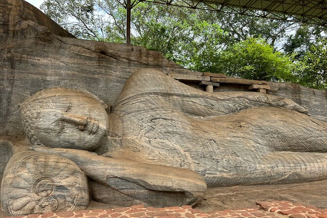 Six-Day Private Tour in Sri Lanka With 3-Star Hotel Stays and HB