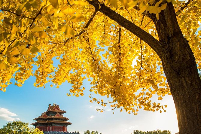 Small Group Beijing Layover Tour to Mutianyu Great Wall and Forbidden City