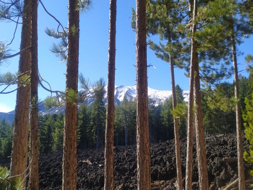 Small Group Etna Walking Tour and Visit to a Lava Cave