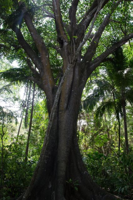 SMR TAYRONA NATIONAL PARK – Trek to Cabo San Juan