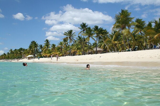 Snorkeling Adventure and Explore Catalina Island From Punta Cana
