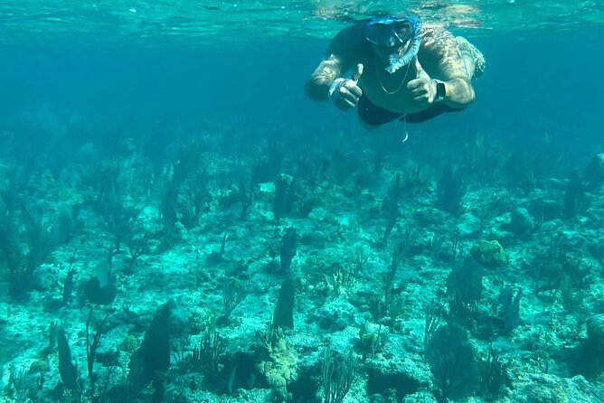 Snorkeling, Sightseeing And Turtles Excursion