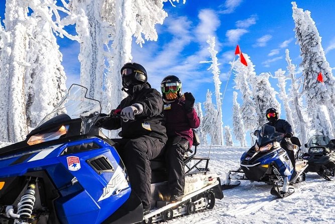 Snowmobiles Rides in the Carpathian and Winter Sports - Snowmobile Rental and Optional Gear