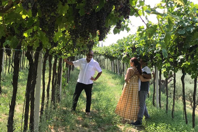 Soave Borgo Wine Day Trip With Light Lunch & 2 Wineries
