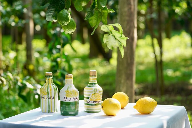 Sorrento Lemon Tour and Tasting of Local Products - Exploring the Lemon Grove