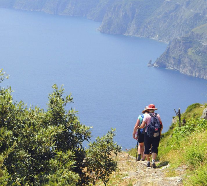 Sorrento: The Path of the Gods Hike - Overview and Pricing