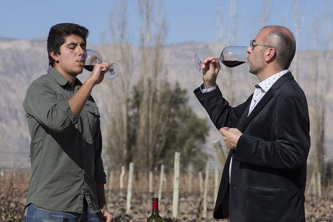 South Wine Route