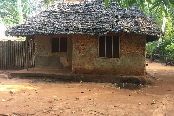 Spice Farm and Jozani Forest Private Tour