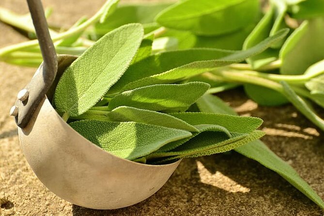 Spice Tour And Home-Cooked Goan Lunch At An Organic Plantation - Tour Overview