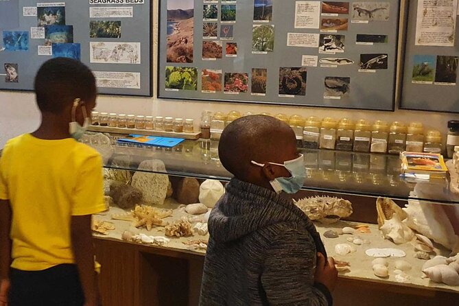 St.Martin - St.Maarten: Small Group, Museum Beach Lunch Tour - Meeting and Pickup Information