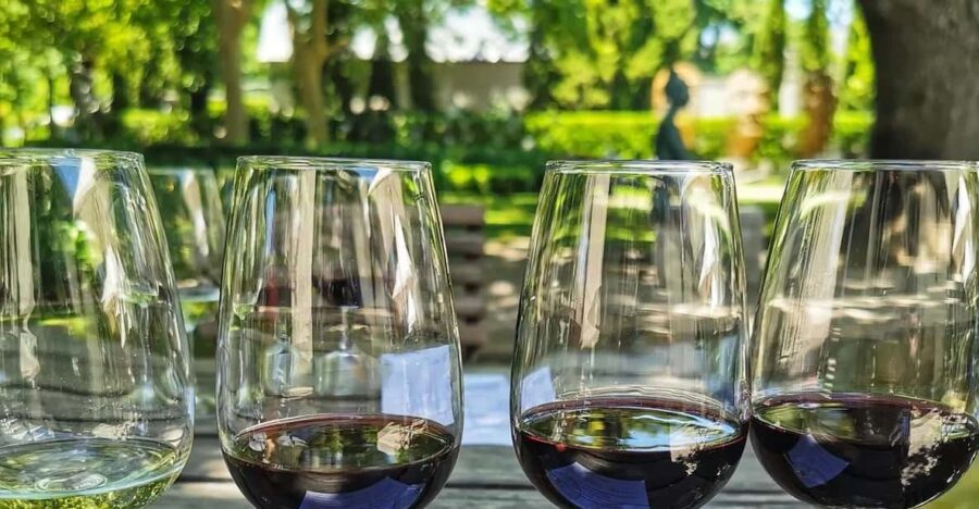 Stellenbosch, Franschhoek and Paarl Wine Tour