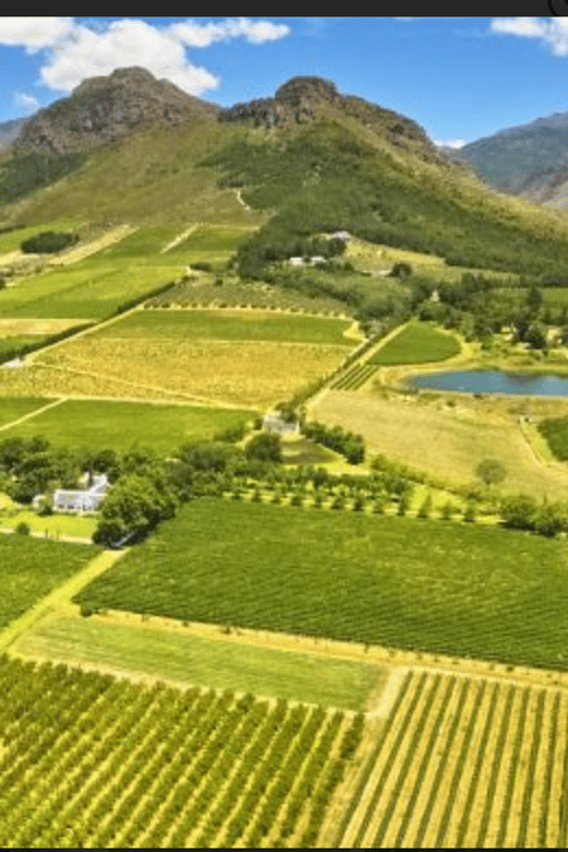 Stellenbosch& Franschhoek Wine Tasting Full Day Private Tour