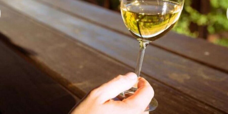 Stellenbosch & Franschhoek Wine Tasting Tour From Cape Town. - Tour Highlights