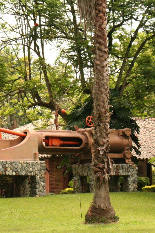 Sugar Cane Museum and Hacienda Paraíso Day Tour
