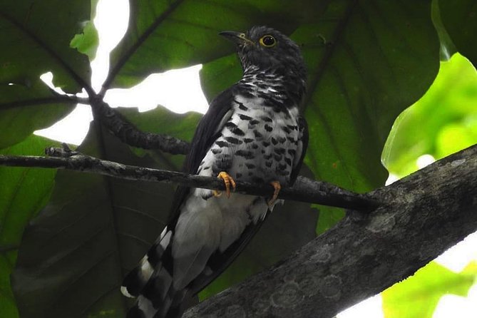 Sulawesi Nani Wartabone National Park Tour