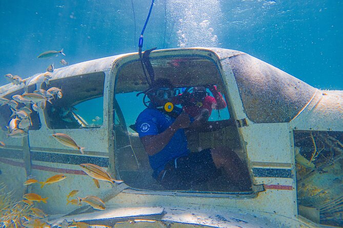 Suncay Sunken Sculpture Snorkel & Iguana Encounter With Lunch - Snorkeling the Sunken Sculptures