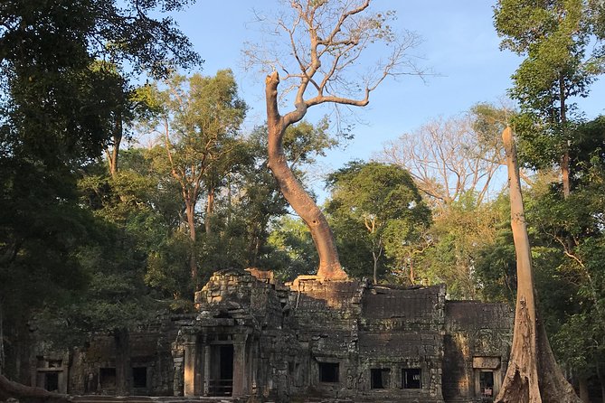 Sunrise Angkor Wat Private Tour - Tour Details