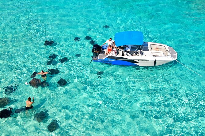 Sunrise at Stingray City, Private Tour
