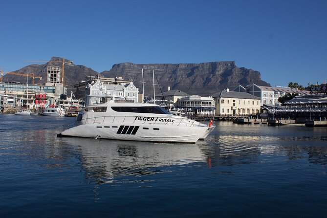 Sunset & Champagne Cruise for 2 Pax on TIGGER 2 ( Guaranteed Departure ) - Cruise Experience